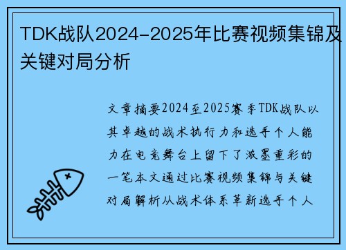 TDK战队2024-2025年比赛视频集锦及关键对局分析